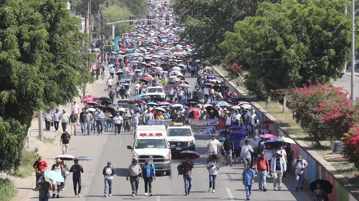 A large crowd with umbrellas marches alongside parked vehicles on a tree-lined street.
