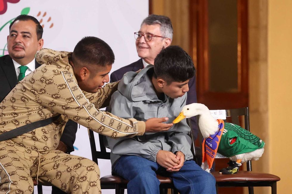 A man helps a boy meet a duck wearing a soccer-themed outfit in a seated group.