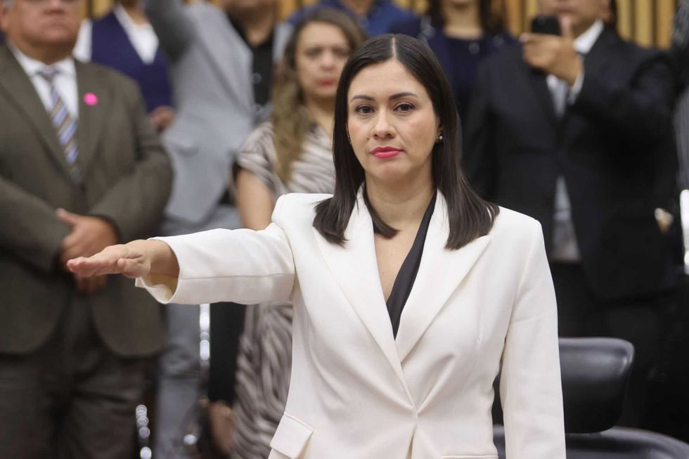 blanca-cruz-presidencia-provisional-del-ine-proceso-electoral