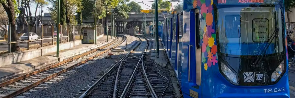 Blue tram with floral design on tracks in a tree-lined setting.