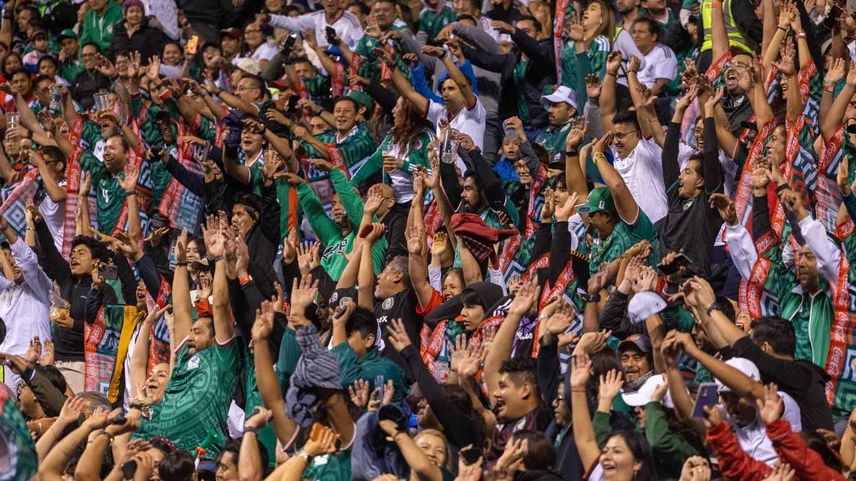 Cheering crowd in green and red, waving scarves, at a lively sports event.