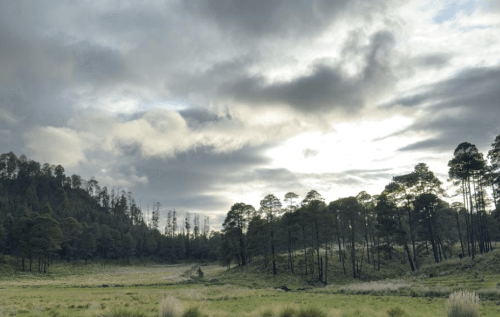 Cloudy sky over a tranquil forest clearing in the hills.