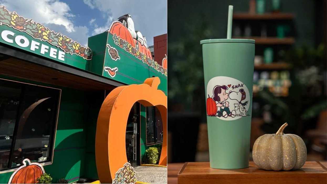 Coffee shop with pumpkin decor; green cup features cartoon dog and child.
