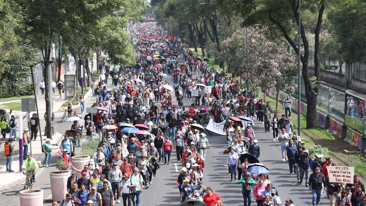 Crowd marching on a tree-lined street, some with umbrellas and signs.