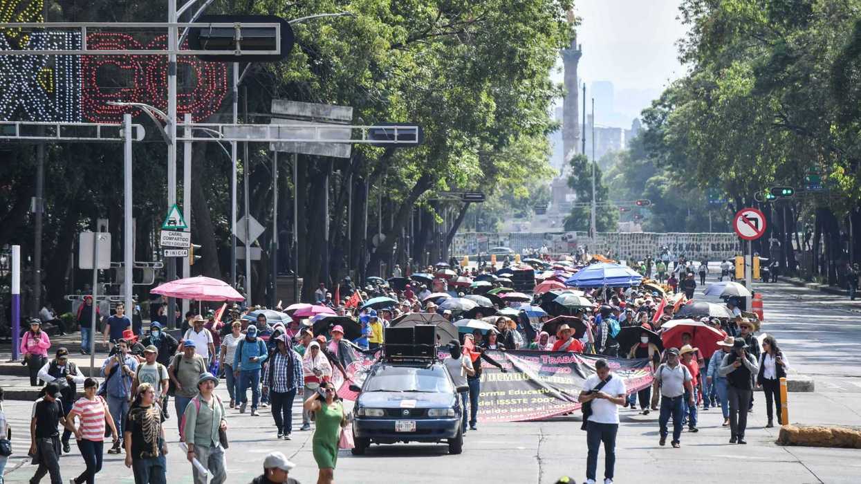 Crowd with umbrellas marches in a city street, surrounded by trees and signs.