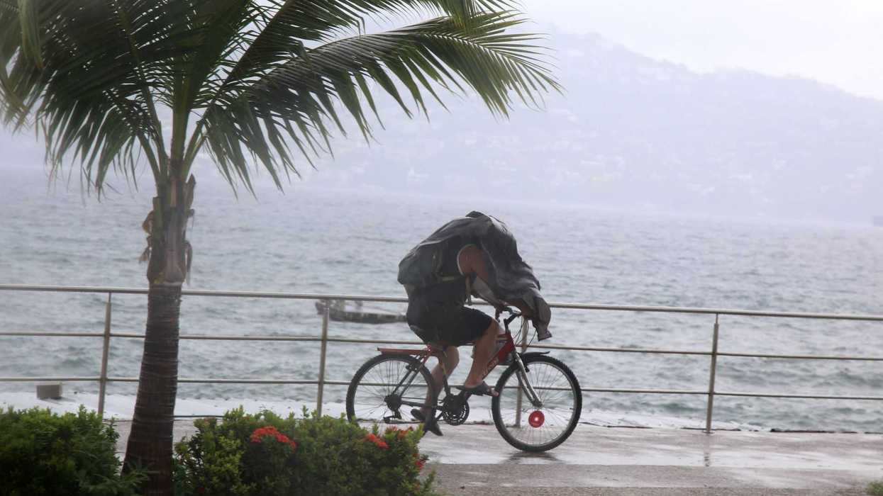 Cyclist under rain, covered with tarp by seaside; palm tree to the left.