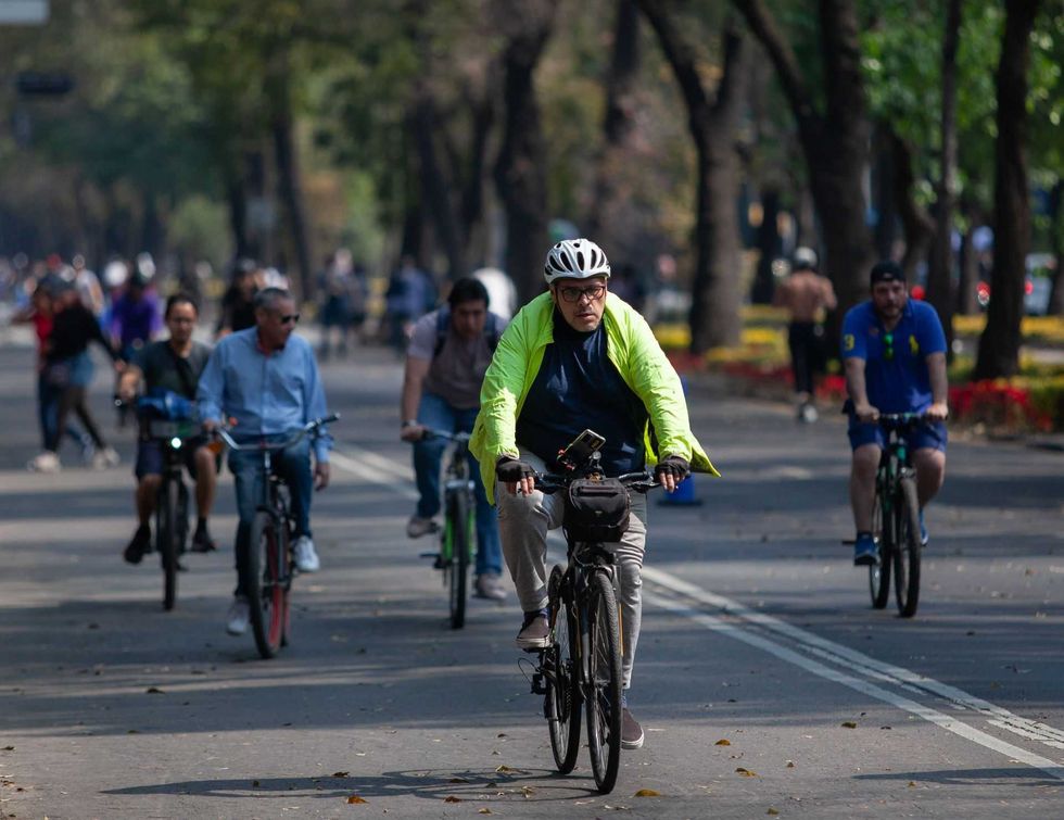 Cyclists riding on a tree-lined road, led by a person in a yellow jacket and helmet.