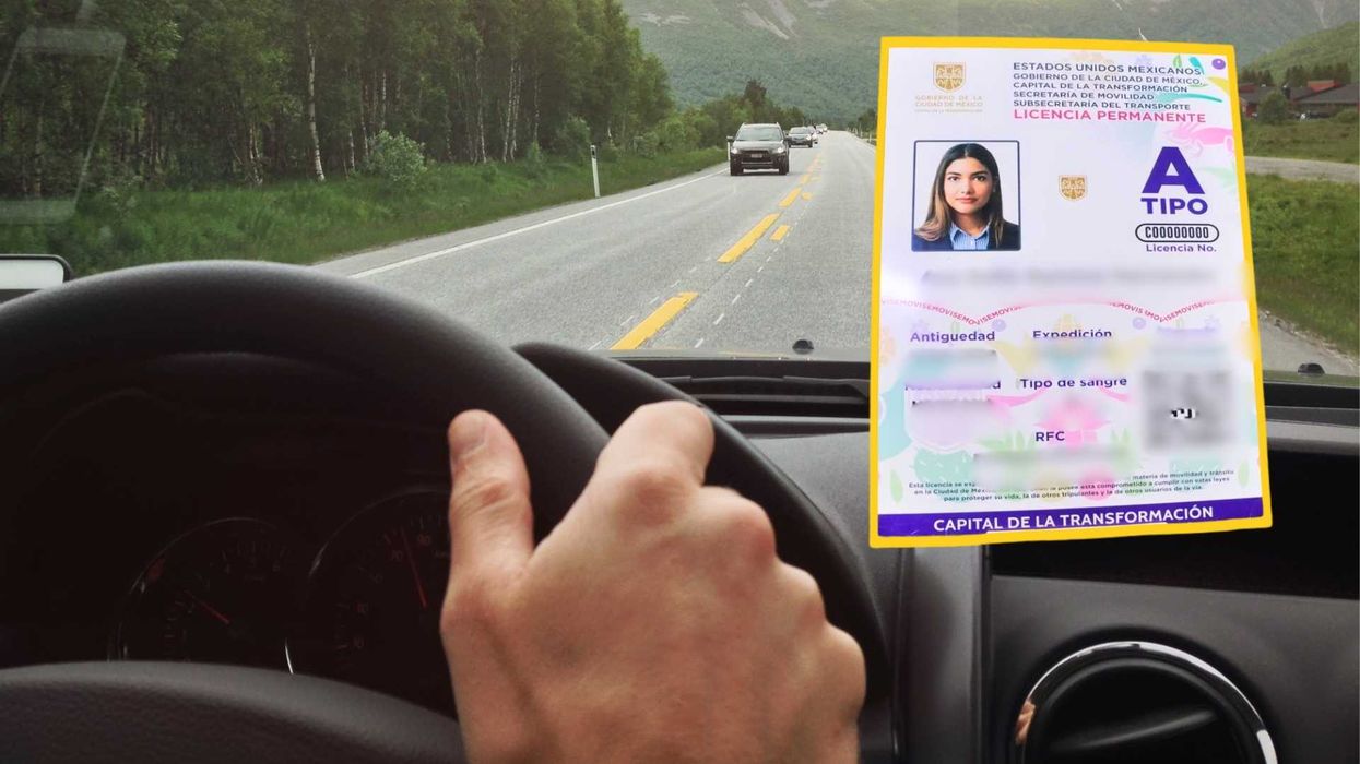 Driver holding wheel with a visible large driving license overlayed on windshield.