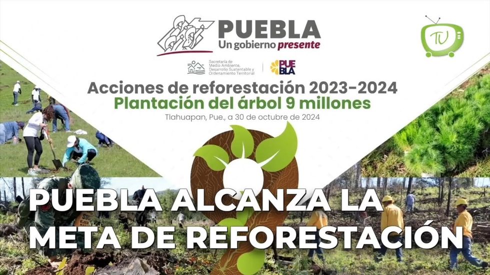 Puebla alcanza la meta de reforestación