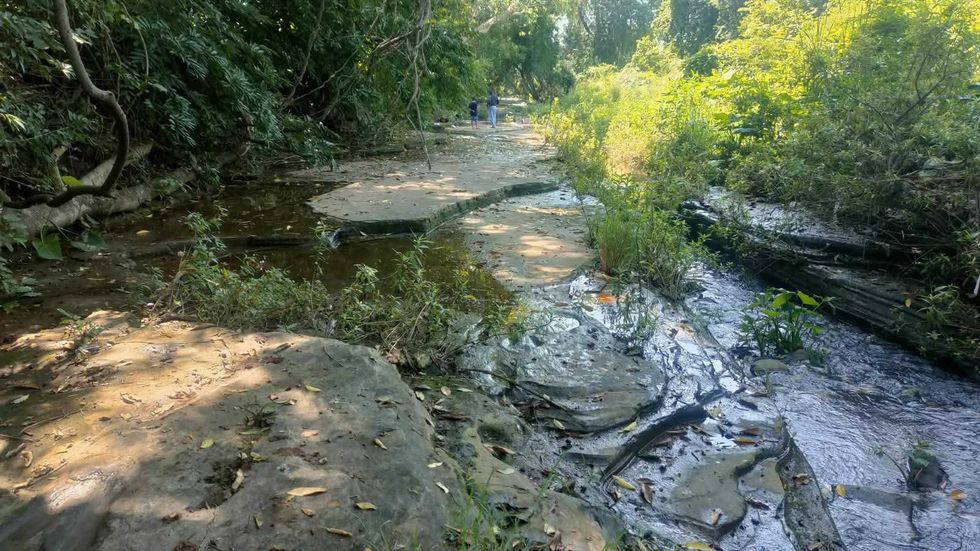 Forest stream with rocky banks, lush greenery, and people walking in the distance.