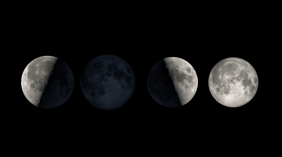 Four moon phases: first quarter, new, third quarter, full, against a black background.