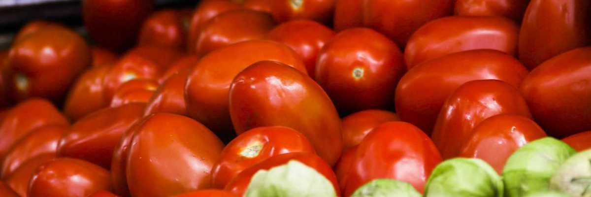 Fresh red tomatoes and green tomatillos at a market stall.