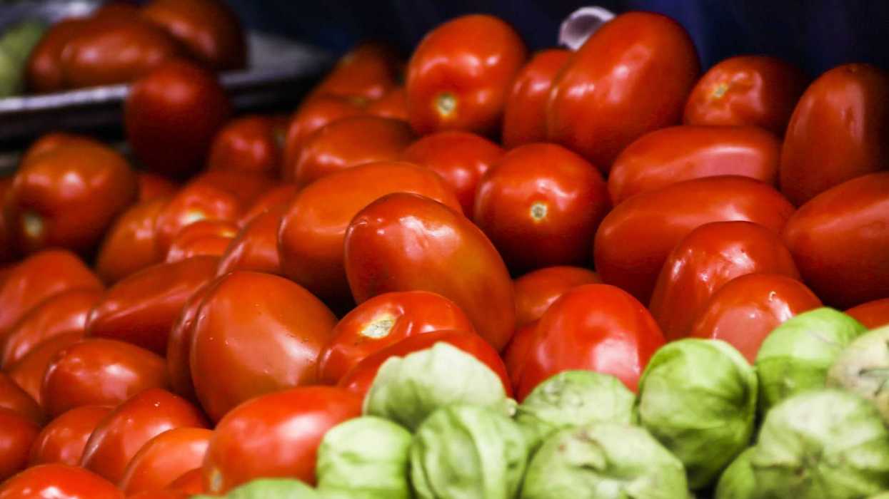 Fresh red tomatoes and green tomatillos at a market stall.