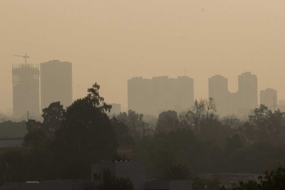 Hazy cityscape with silhouette of buildings and trees in the foreground.