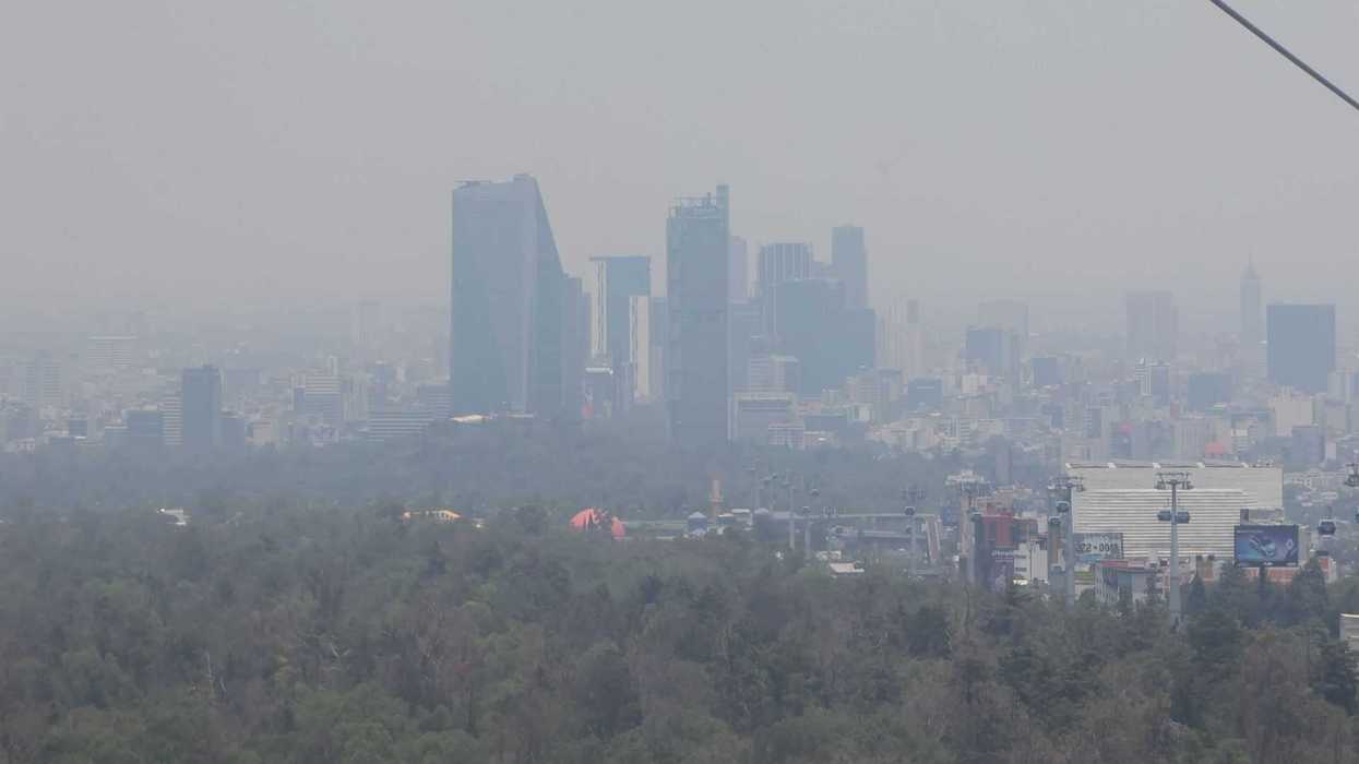 Hazy skyline of a city with tall buildings and a foreground of dense trees.