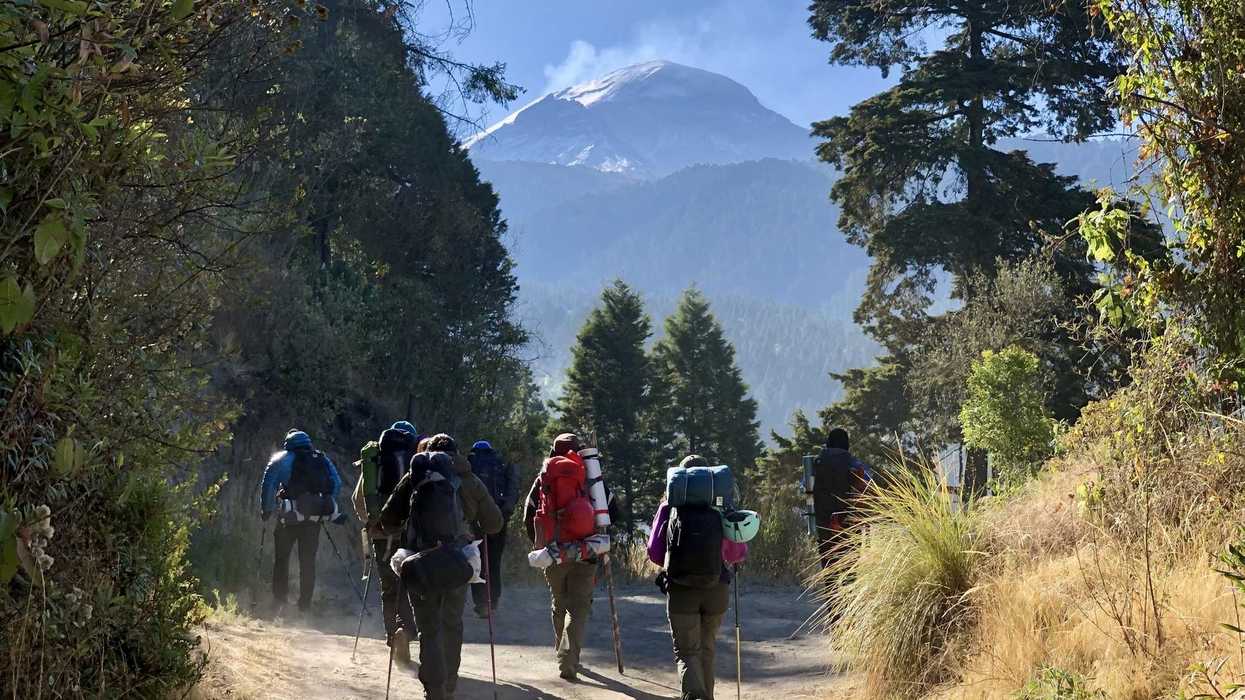 Hikers with backpacks walking on a forest trail towards a snow-capped mountain.