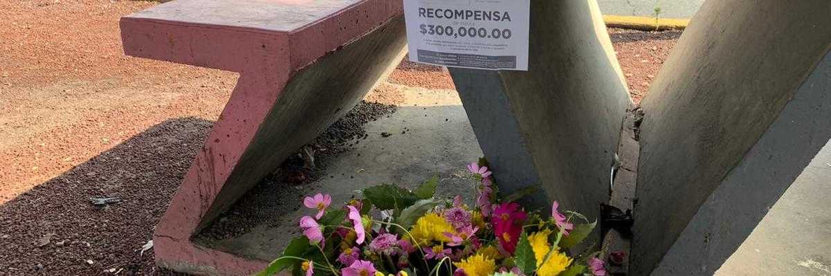 Buscan a los agresores de la “Bebe de Aragon”.
