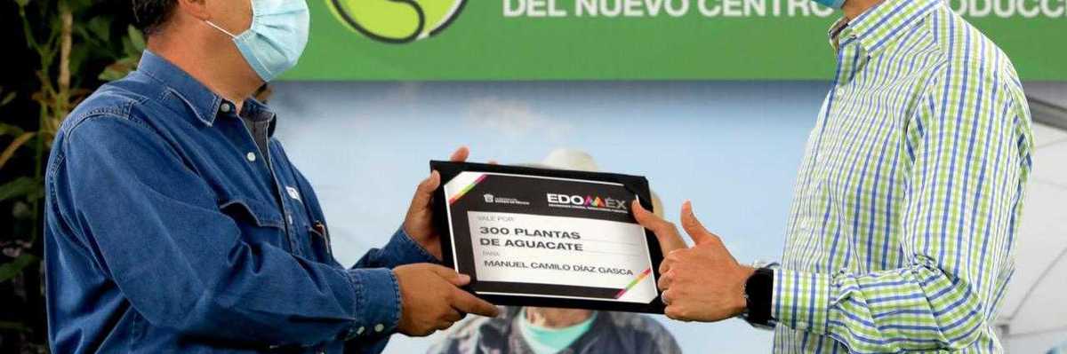 Entrega Alfredo Del Mazo 25 mil plantas de Aguacate del nuevo Centro de producción del EDOMEX.