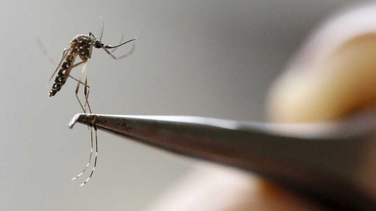 Contagios de dengue preocupan a diferentes entidades.