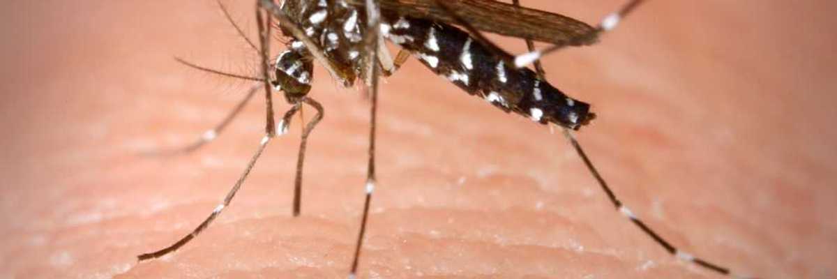 Se duplican los casos de dengue en Puebla.