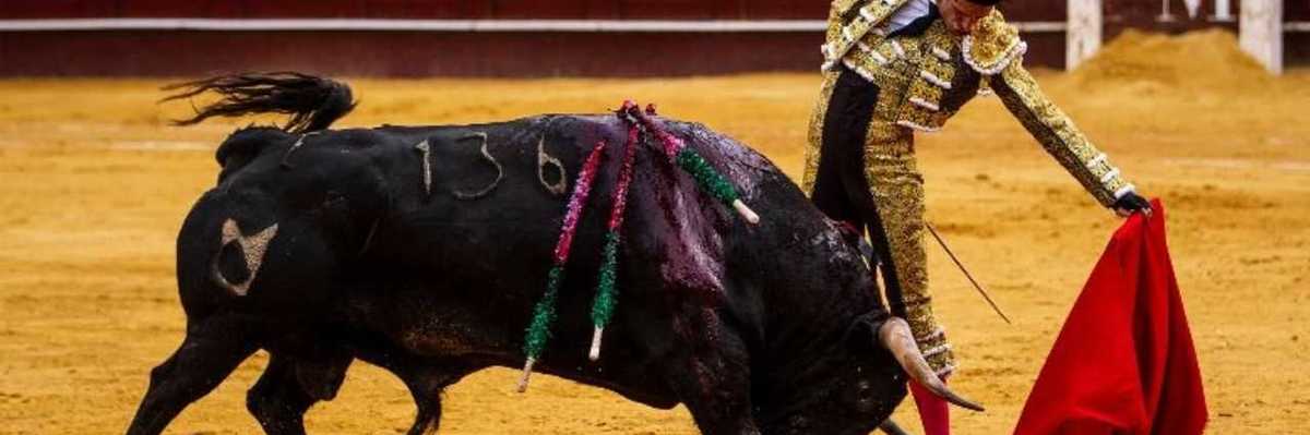 Tauromaquia fuera de nominaciones a Patrimonio Cultural de la UNESCO.
