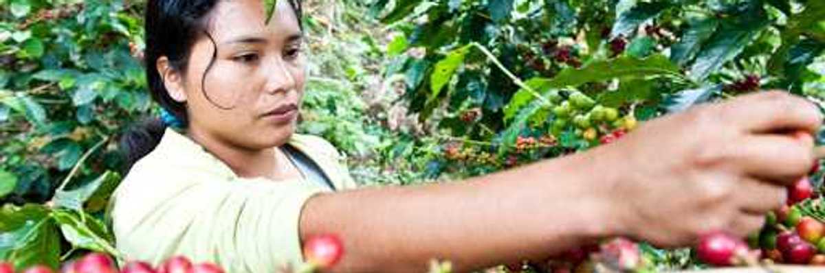 Pensando en las familias cafeticultoras de Puebla.