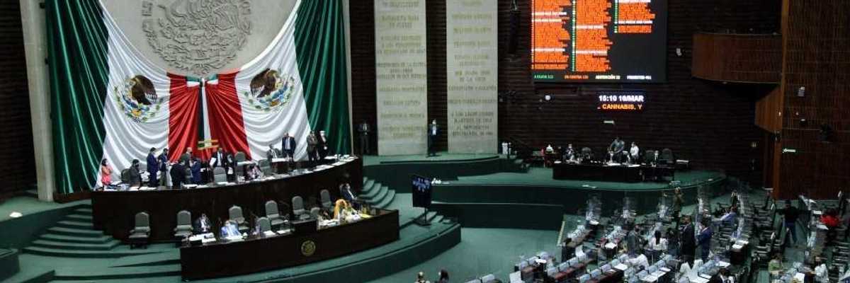 Aprueban en lo general la ley de regulación del Cannabis.