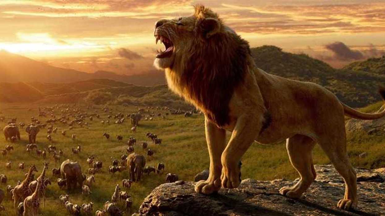 Sabías que... - El rugido del león.