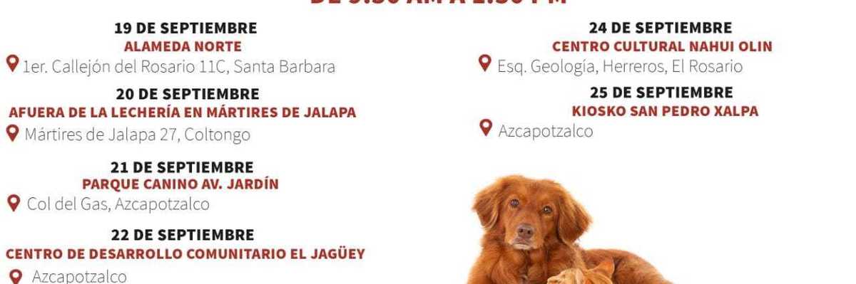 Inicia campaña de vacunación antirrábica gratuita en Azcapo