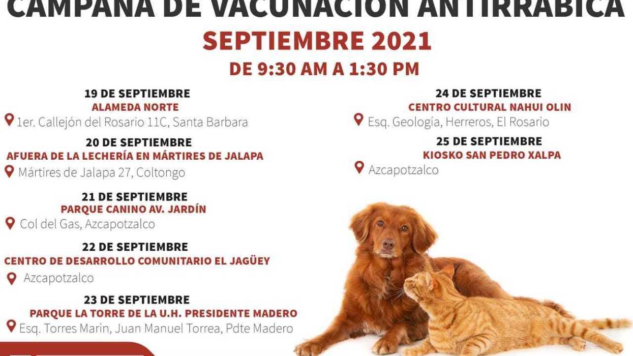 Inicia campaña de vacunación antirrábica gratuita en Azcapo