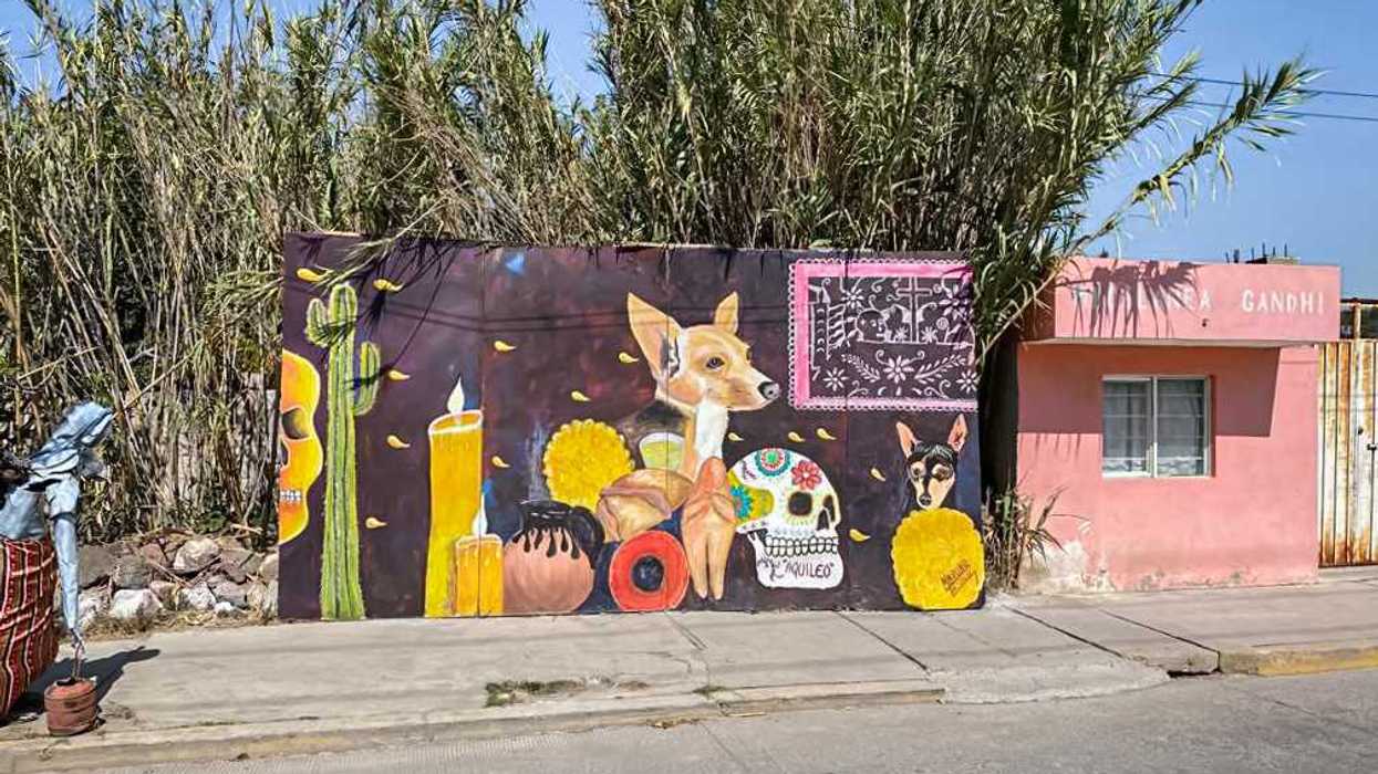 Exponentes del muralismo nacional e internacional participarán de encuentro en Hidalgo