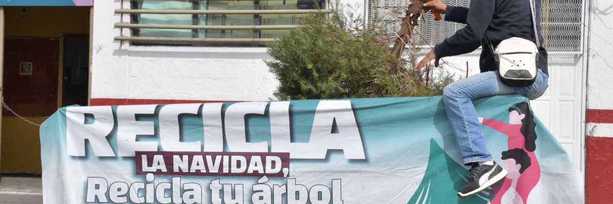 Para promover el cuidado del medio ambiente y prevenir incendios se reciclarán árboles de navidad en Nezahualcóyotl