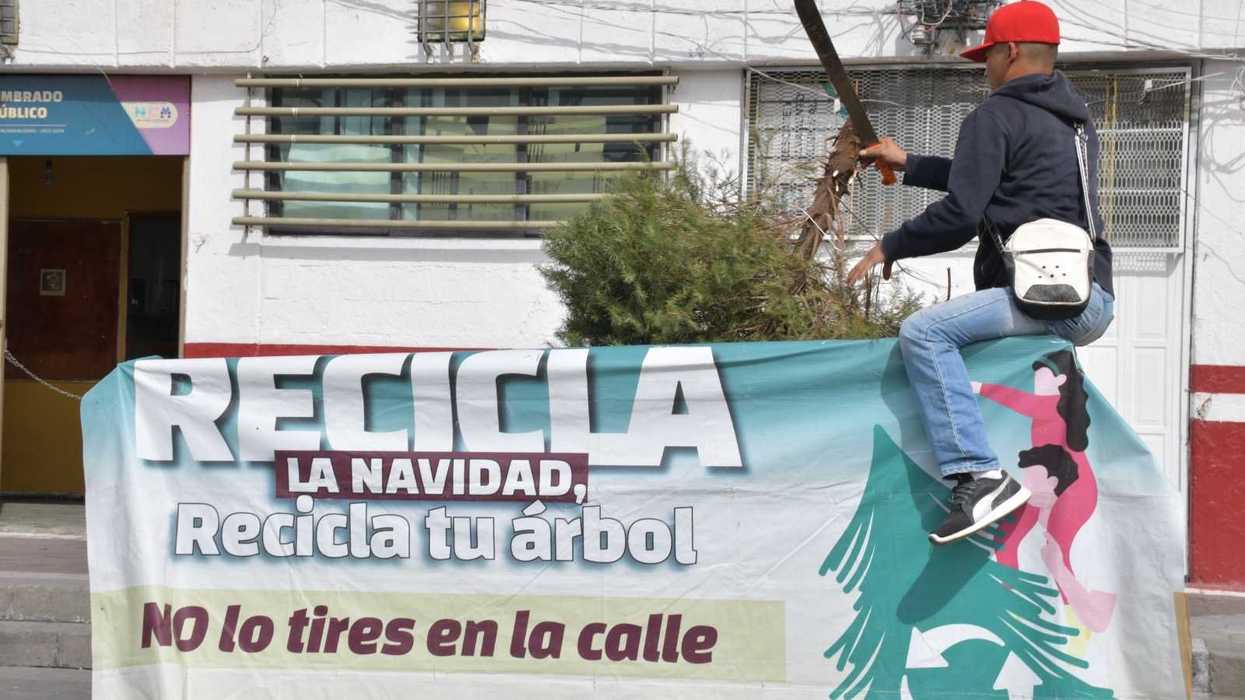 Para promover el cuidado del medio ambiente y prevenir incendios se reciclarán árboles de navidad en Nezahualcóyotl