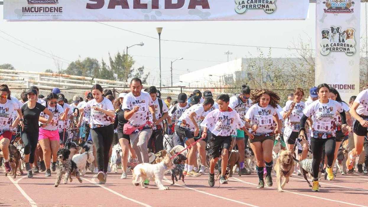 Más de 350 personas corren con sus lomitos en la "Carrera Más Perrona 2025" en Nezahualcóyotl