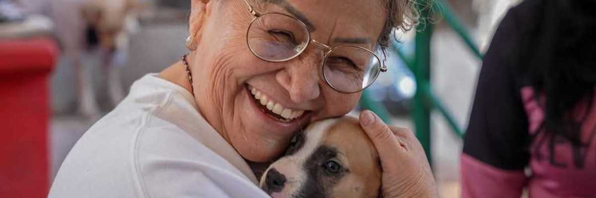 El Cuidado de Animales de Compañía es Impulsado por el Gobierno de La Paz