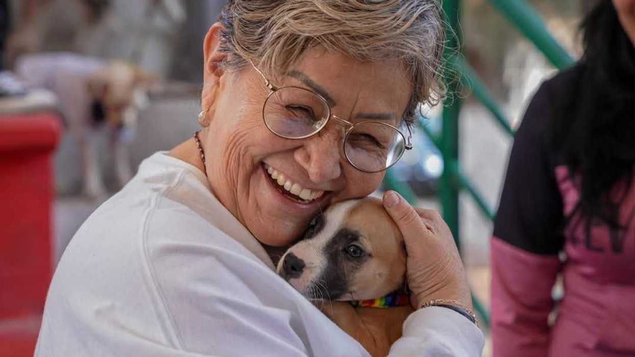 El Cuidado de Animales de Compañía es Impulsado por el Gobierno de La Paz