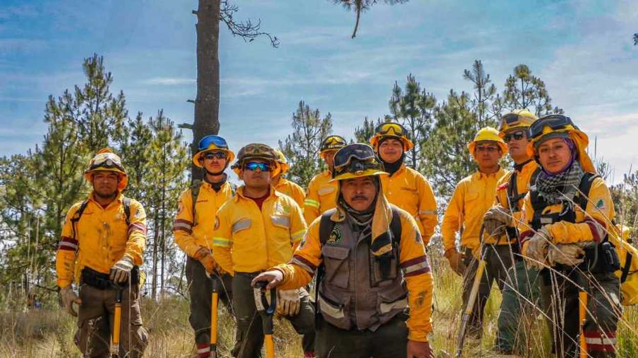 ANUNCIAN PLAN AMBIENTAL PARA LA CDMX