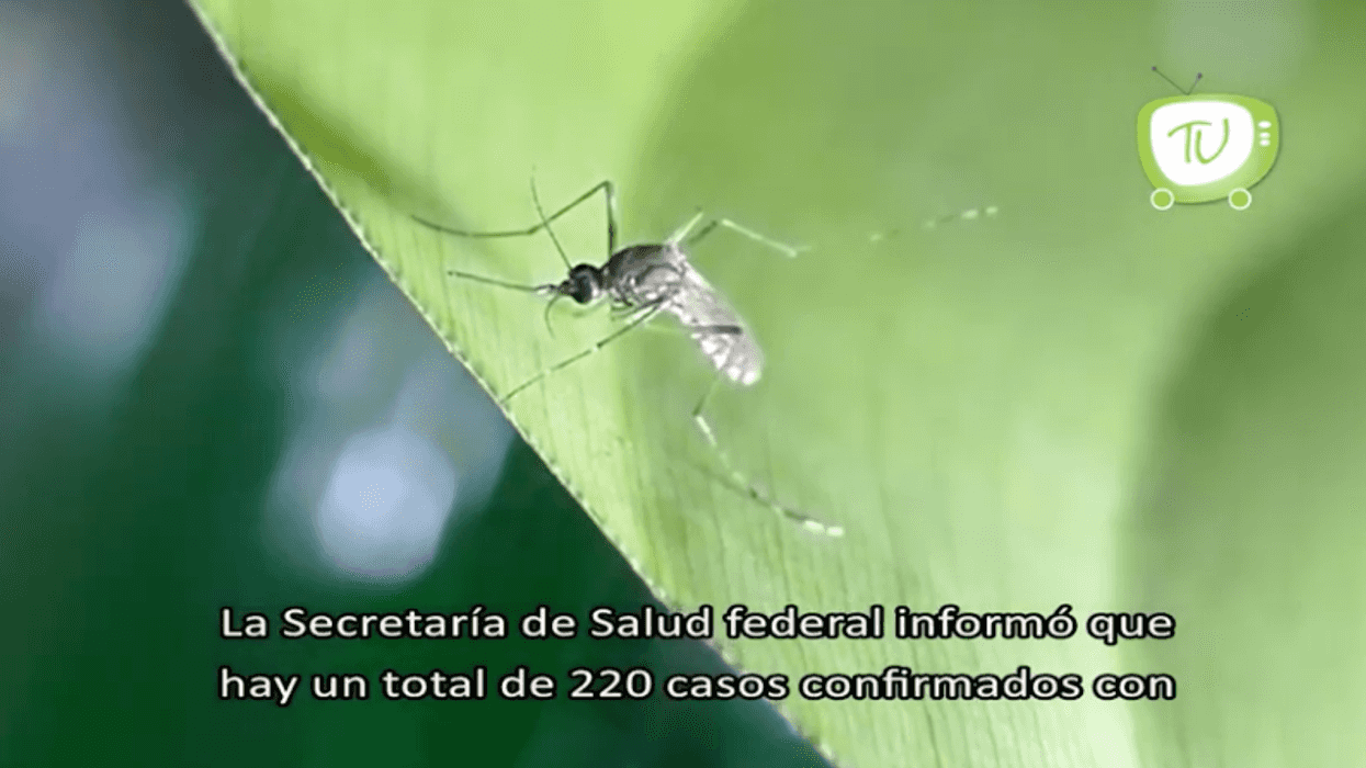 El dengue amenaza a Jalisco.