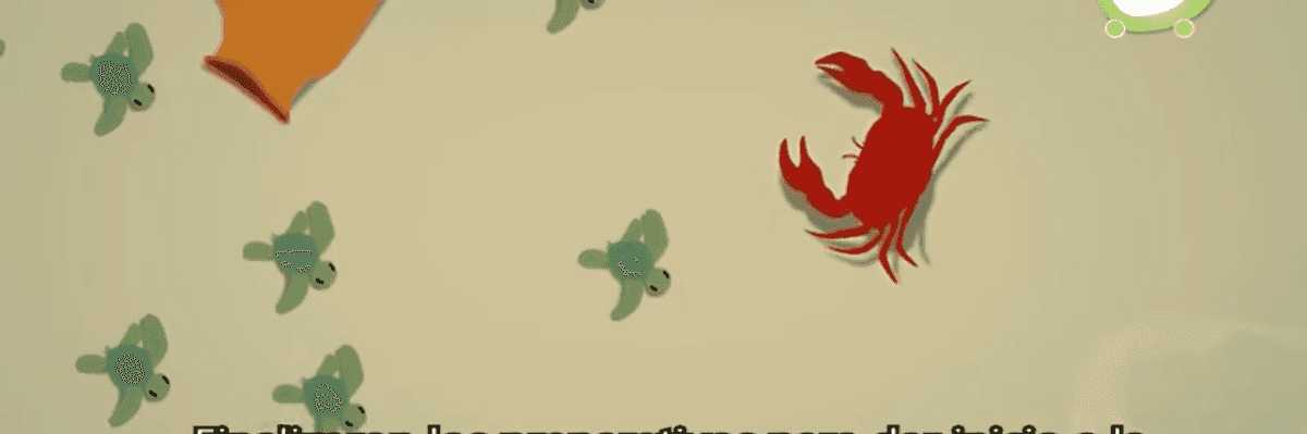 Gobierno Municipal está preparado para temporada de tortugas.