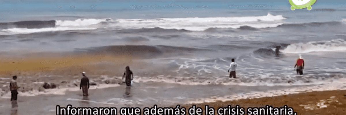 Gobierno de Quintana Roo se alista para la llegada de Sargazo.