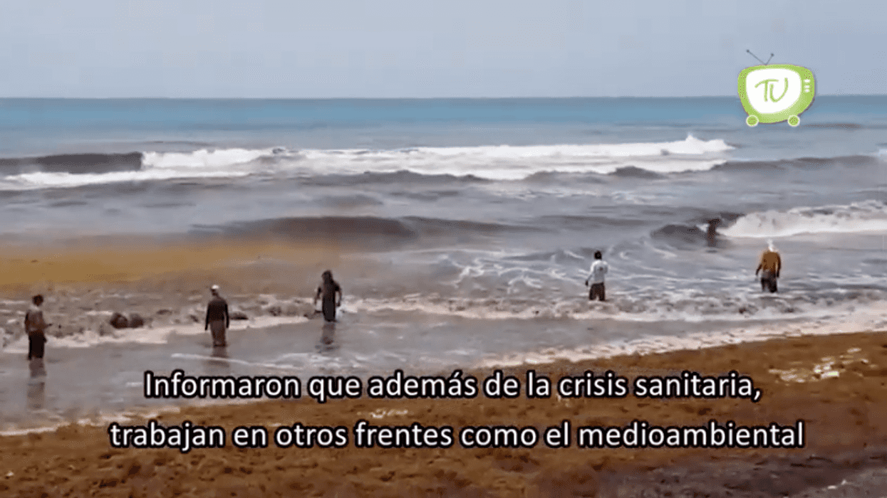 Gobierno de Quintana Roo se alista para la llegada de Sargazo.