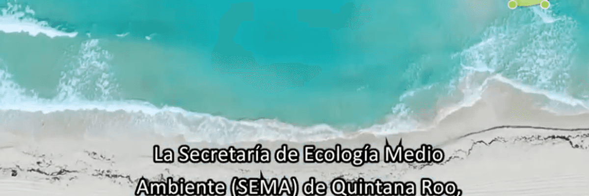 Renuevan contratación de seguro paramétrico en Quintana Roo.