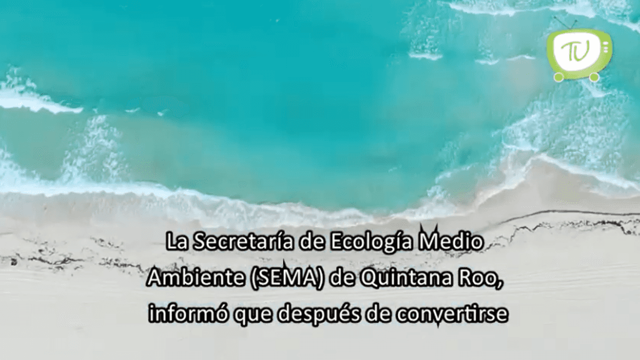 Renuevan contratación de seguro paramétrico en Quintana Roo.