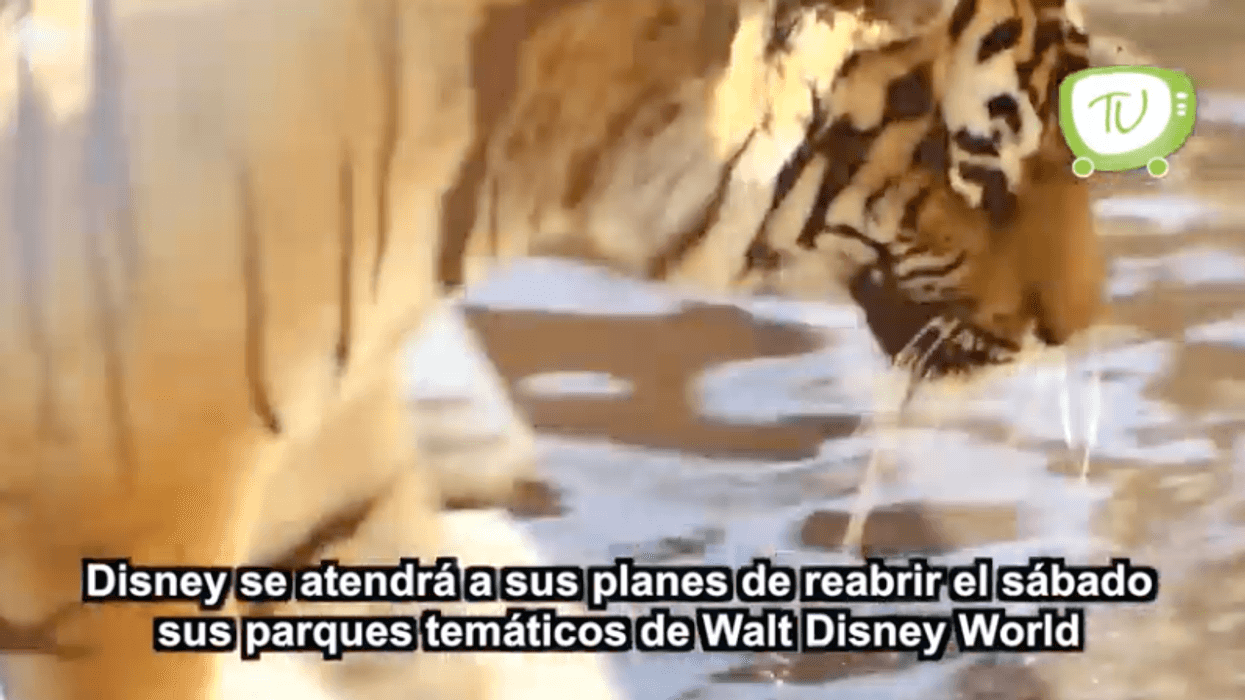 Disney confirma reapertura de sus parques.