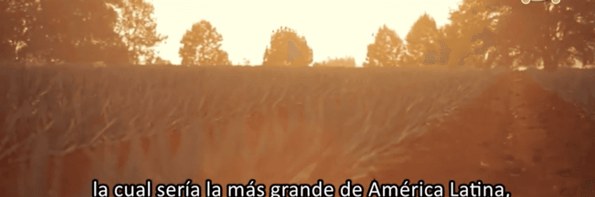 Tequila Don Ramón busca hacer inversión en Puebla.