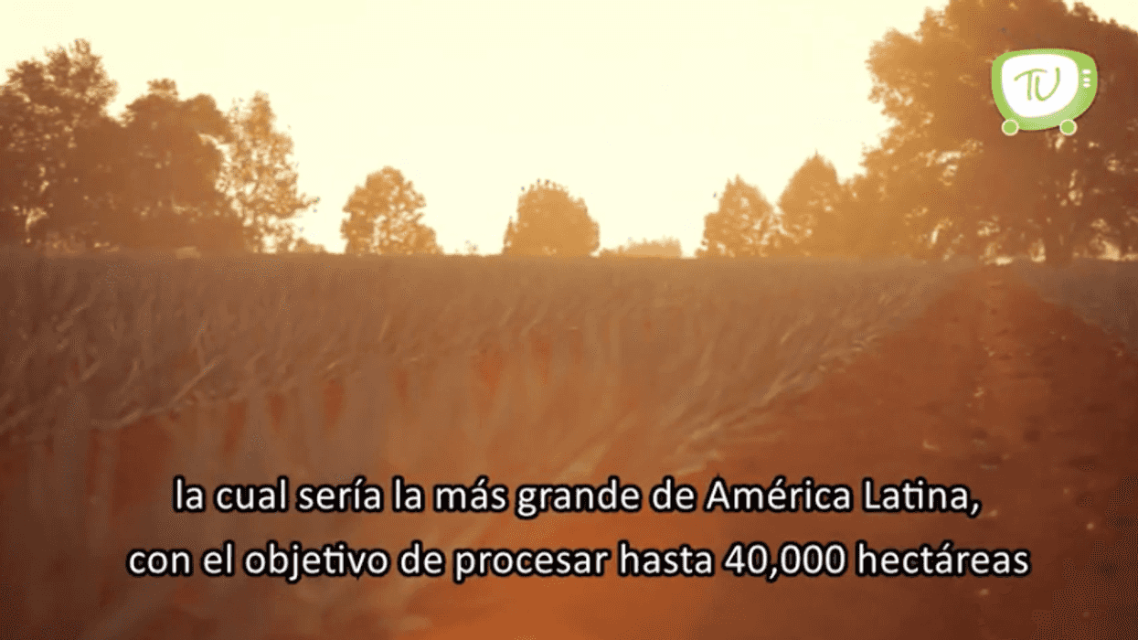 Tequila Don Ramón busca hacer inversión en Puebla.