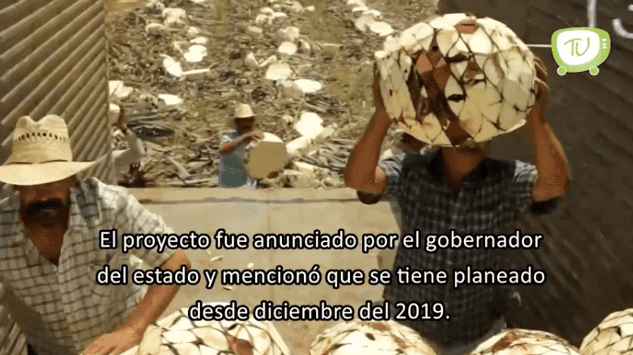 Puebla podría ser sede de la destiladora más grande de Latinoamérica.