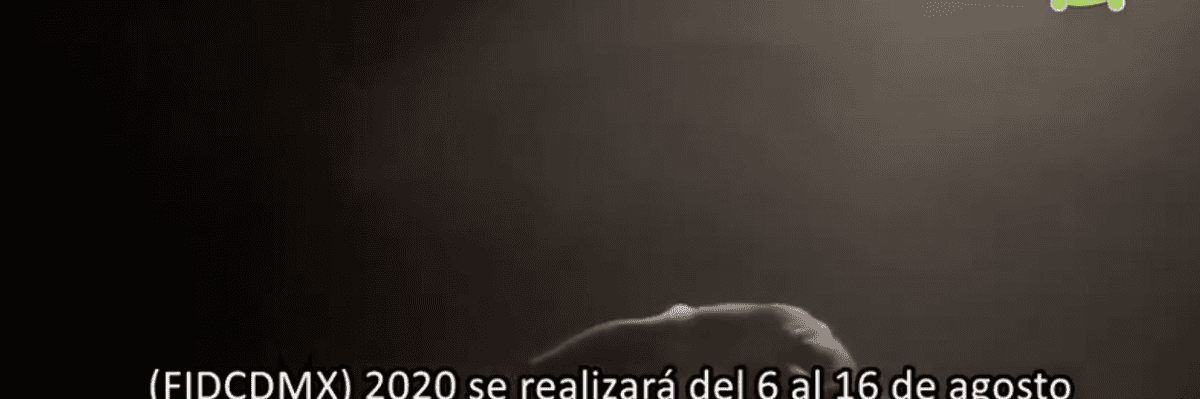 :a 5a edición del Festival Internacional de Danza Contemporánea de la CDMX será en línea.