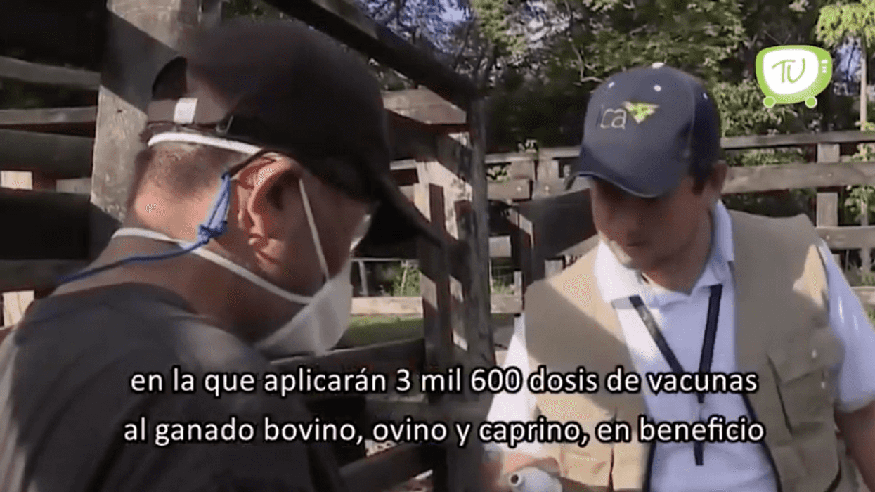 Inicia la Jornada de Vacunación Animal.