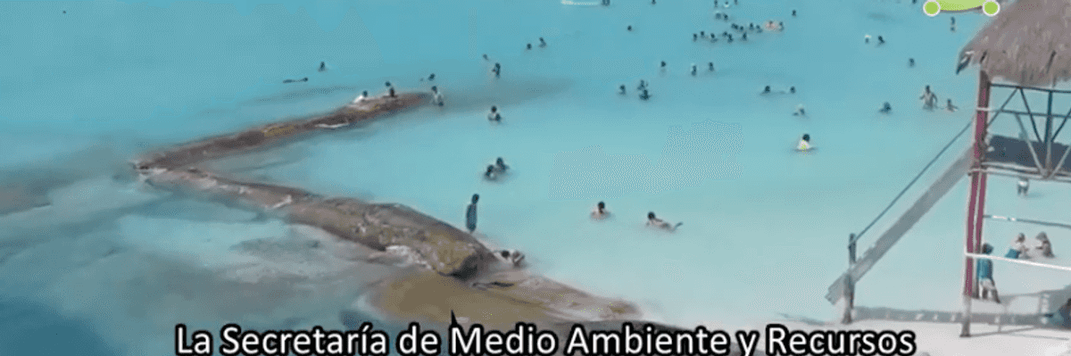 Extienden por 10 años más autorización para preservar playas en Quintana Roo.